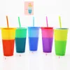 Color Changing Cups Tumblers Drinkware With Lids Straws Reusable Plastic Cold Cup For Adults Kids HH21-320