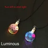 Fashion Luminous Dried Flower Butterfly Glass Ball Womens Necklace Pendant Rope Chain Necklace for Women Strip Leather Choker XY438