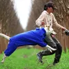 ペット犬レインコート反射防水ジッパー服ハイネッグフード付きジャンプスーツ小さな犬のオーバーオールレインCloak Labrador