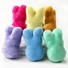 Nieuwe Paashaas Toys 15cm Knuffels Kinderen Baby Happy Easters Konijn Dolls 6 Kleur Whtbfr