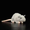 jouets de rat pour animaux de compagnie