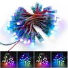 WS2811 IC LED Pixel Module lichten DC5V 12mm Waterdichte punt Lamp RGB Full Color String Kerstmis adresseerbare licht voor Letters Sign Adverteren