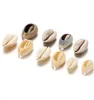 50Pcslot Natural Small Sea Conch Shape Shell Diy Jewelry Finding Accessories Supplies Seashell Necklace Bracelet Wmtuje T8Kyw Bead 2085 V2