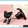 3d söt svart katt piercing stud örhängen för kvinnor tjejer och män pärla kanal örhänge mode smycken whol sqcrxt dropp leverans 2021 k1nb0