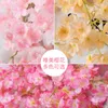 New180cm 인공 꽃 포도 나무 실크 벚꽃 가정용 홈 장식에 대 한 플라스틱 포도 나무 가짜 ewd6222