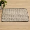 Wholesale Summer Pet Cool Mats Small Cat Cooling Pad Pets House Kennels Sofa Breathable Bed Mat SummerPadMat WLL905