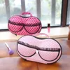 Storage Bags Portable Zipper Multi-piece Bra Bag Panties Socks Underwear Organizer Closet Accessories Space Saver