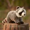 Raccoon Plush Toys Simulation good quality Stuffed Cute Animal Dolls for Kids Boys Girls Gifts 210728