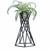 Rustic Irregular Flower Plant Pot Holder Geometric Metal Rack Air Plants Garden Display Decoration 7x10x21cm LBS Planters & Pots