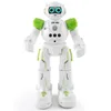 Children's Toys Remote Control Robot Gesture Insect Dance Puzzle Robot Early Education Science Knowledge