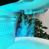 Przenośny PDT LED Light Therapy Skin Odmłodzenie Fotodynamiczne Lampa zabiegowa 7 Kolory Foton Facial Beauty Salon Spa Machine