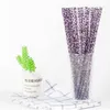 PP Leopard Printed Plastic Straws Reusable and Customizable Whole2079764