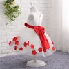 Romantisk V Neck Flower Girl Dress Real Picture Princess for Weddings Tulle