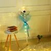 Party Decoration LED Rose Flower Ballon Set Lichtgevende Kunstmatige Boeket Duidelijke Bobo Ball Ballonnen Kit voor Valentines Wedding Decors