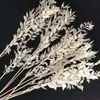 35 ~ 40g / 35-42cm Suszone naturalne rośliny Liście gałąź w beżowym, suchym bogatym i wartościowym liściowym kwiaty bukiet do wystroju domu, ślub 210624