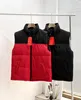 2021 New north Winter men's embroidery puffer jacket Casual Brand Down Parkas Warm Ski Mens face vest 60