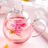 お茶用マグカップ大量のガラスカップかわいい透明な花瓶カワイイ猫と一緒にタンブラーワイングラス3744624