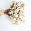 20 pz batuffoli di cotone naturale piante da fiore dired secchi veri mazzi di frutta bianca fiori decorativi per feste fai da te decorazione della casa di nozze 210624