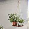 Outros suprimentos de jardim Macrame Plant Hanger - Interior Pendurar Plantador Prateleira Decorativa Flor Pot Pot Boy Decoração Home Bohemian, em caixa, para