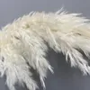 Dekorativa Blommor Kransar 60cm Fluffy Natural Pampas Grass Real Stor Torkad Bouquet Inomhus Heminredning Boho Bröllop Arch Dekoration Kristus