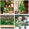 Other Garden Supplies Plant Climbing Bracket Metal DIY Potted Plants Support Flower Vegetables Stand Creative Home Decoration AUG889