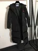 Top Qualité Down Manteau Femmes Épais Véritable Fourrure De Loup À Capuchon Femmes Slim Veste D'hiver Parka Dames Longues Parkas Designer Sweats À Capuche Vestes Chaud