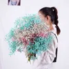 Natural Fresh Dried Preserved Flowers Gypsophila Paniculata,Baby's Breath Flower Bouquets Gift For Wedding Party Decoration 211101