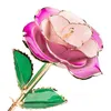 Long Stem 24k Gold Rose Lasted Roses Party Romantic Gift for Valentine's Day/Mothers Day/Christmas/Birthday by sea T2I53404