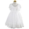 Fairy Girls Lace Princess Dress for Elder Emrbodiery Cape Sleeve Sundress with Waves Hemming Big Clothes 210529