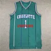 No.1 Bogues jersey Stripe Mesh light-green