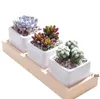 New3 그리드 꽃 냄비 상자 트레이 나무 즙이 많은 식물 다육적 인 화분 용기 홈 장식 EWB7029