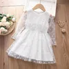 Robes de fille Robe de princesse pour enfants de fille Bébés filles Dots Imprimer Col rond Manches longues Casual Party Wear Robe de bal Automne Vêtements mignons