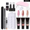 Nail Gel 150ML Extension Starter Set With 15 Ml X 7 Colours Suitable For Beginners111pcs Art Brush Tool Kit Stickers