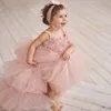 Blush Pink Hi Lo Girl's Pageant Dresses Lace Appliques Tiered Skirts Puffy Ball Gown Girls Birthday Party Dress Custom Made