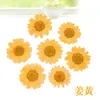 360pcs Pressed Press Dried Daisy Dry Flower Plants For Epoxy Resin Pendant Necklace Jewelry Making Craft DIY Accessories 210624
