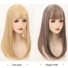 Blocco di capelli sulla parte superiore della testa Cartoon Bangs Parrucca Pezzo di ricambio in fibra chimica Pezzi Donna Young Trendy Color WH0567