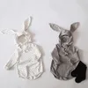 Baby Bodysuit Spring Clothes Rabbit Triangle Climbing Pure Cotton One-piece Bag Fart Hat Set 210429