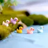 Duck Gnome Miniatura Fatuetas Decora￧￣o de jardim de fadas 5 cores Cactus suculento Planter Acess￳rio Micro paisagem Aqu￡rio aqu￡rio DH8557