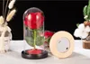Kerstversiering Romantiek Leven Bloem Glas Cover Rose Led Lamp Verjaardag Valentijnsdag Huidige geschenken