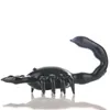 Designer Black Scorpion rookpijpen Animal glazen pijp Levering voor roker