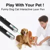 5MW Laser Pointer Pen Party Favor Outdoor Camping Teaching Conference Supplies Funny Cat Toy Creative Gift