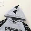 2021 Nieuwe Boys Tracksuit Pak Baby Meisjes Jongen Dinosaurus Hooded Sweatshirt + Broek Outfits Set Peuter Zuigeling Kleding Sets Ropa Sale G1023