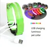 Collier pour animaux de compagnie rechargeable LED collier de chien sécurité nocturne clignotant collier en nylon pour chiot avec chargement par câble USB