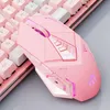 pembe oyun pc