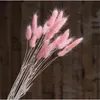 Śródletowy Królik Bunny Tail Trawa Biały Różowy Kolor Naturalne Suszone Kwiaty Bukiet Pampas Trawa Boże Narodzenie Ślub Kwiaty Decor 211122