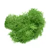 Dekorativa blommor kransar 20g konstgjorda växt evigt liv moss trädgård hem dekoration vägg diy blomma material mini mikro landskap acc