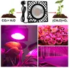 500W LED crescer luz espectro plena lâmpada de crescimento interno AC 110V-220V Luminárias Luminosas Lâmpadas Phyto para Plantas Crescimento Tenda Estufa Luzes