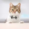 Leuke Bowtie Cat Collar Breakaway with Bell Plaid Set voor Puppy Verstelbare Safety Collars 7.8-10.2 24 Kleur Groothandel L