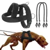 dog weight pulling harness