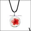Pendant & Pendants Jewelrypendant Necklaces Rinhoo 1Pc Colorf Dry Flower Round Glass Black Leather Chain Necklace For Women Female Charm Exq